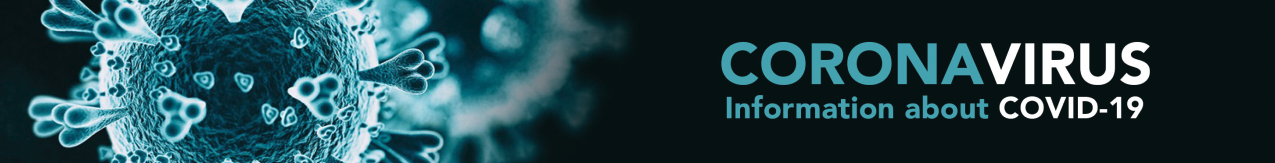 Screen Shot 2020-08-28 at 3.50.14 PM